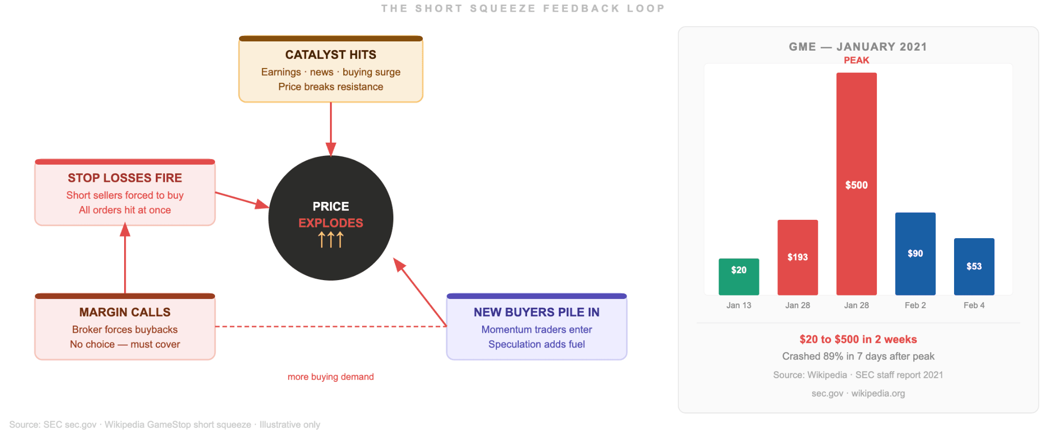 How the Feedback Loop Forms