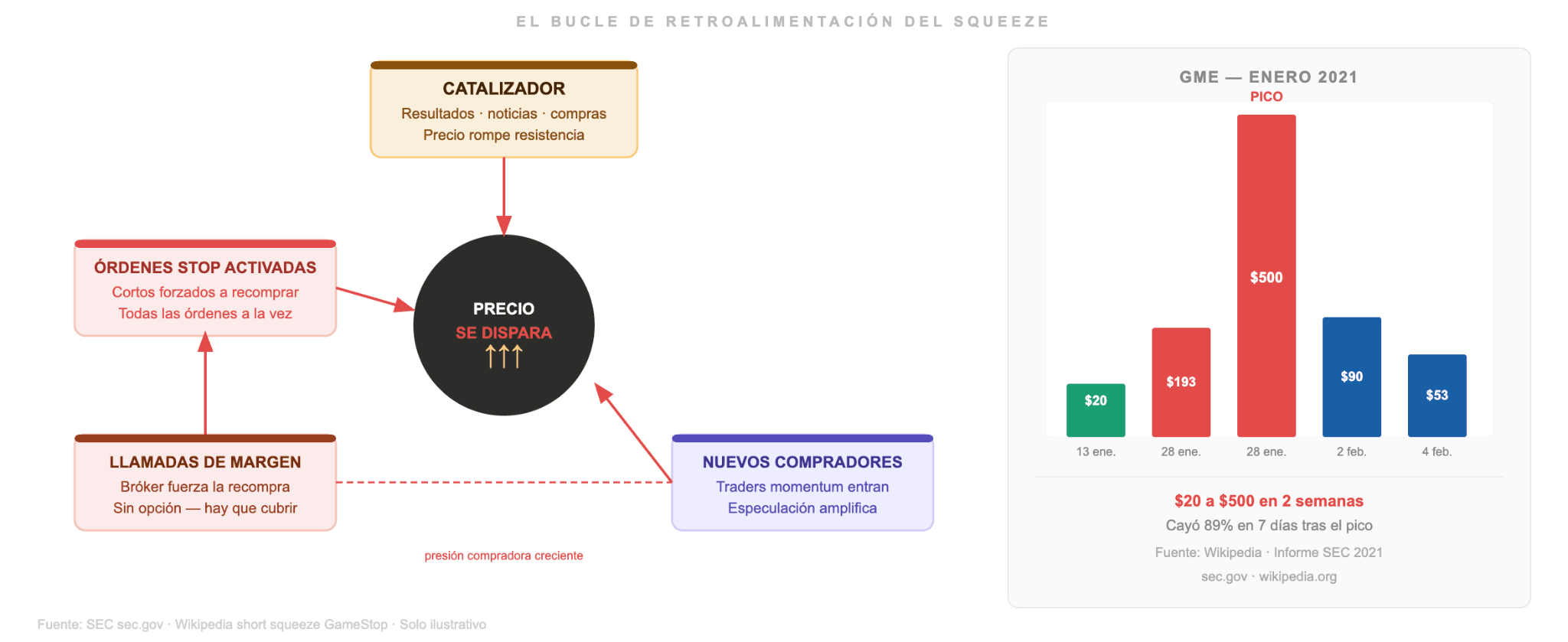 Cómo se forma el ciclo de retroalimentación